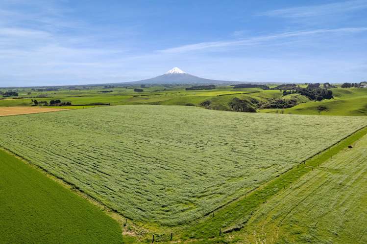 0n Mountain Road Normanby_1