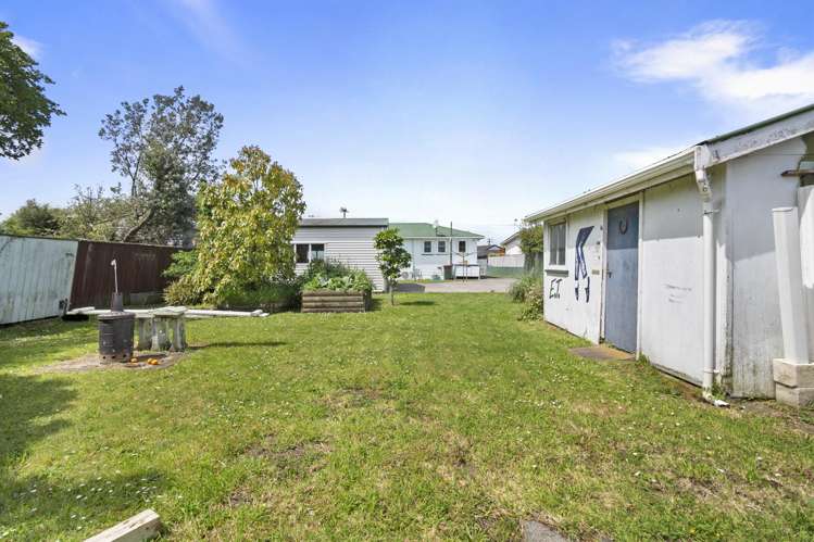 5 Hammond Street Bulls_15