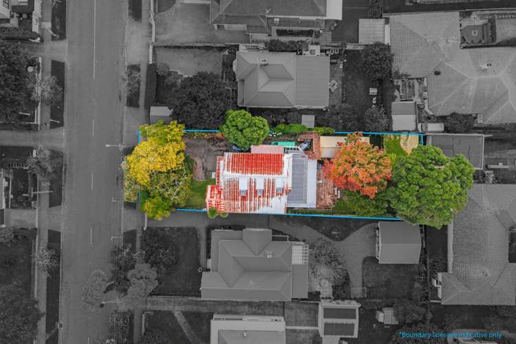 31 Ranfurly Road Epsom_23