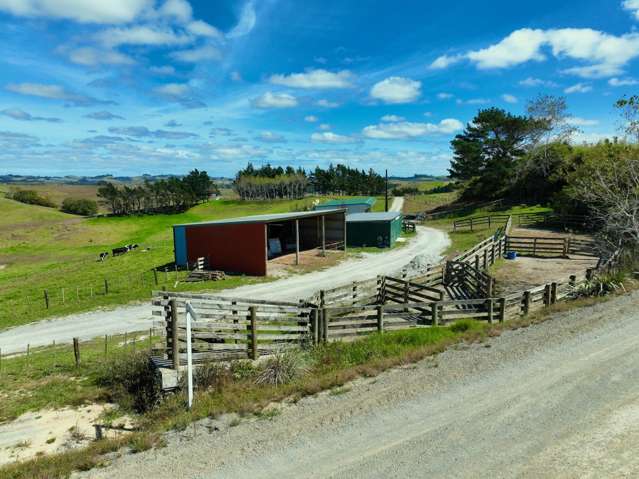 Numerous Opportunities - Waiatahau