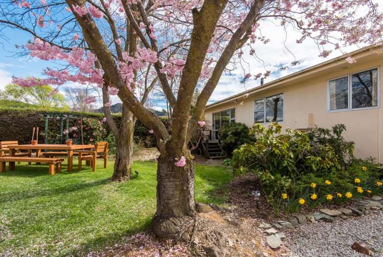 15 Dale Street Albert Town_15