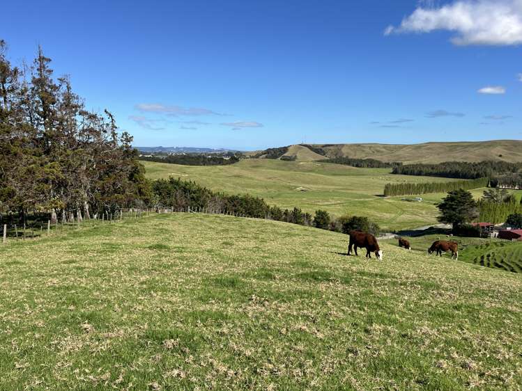 331 Church Road Kaitaia_51