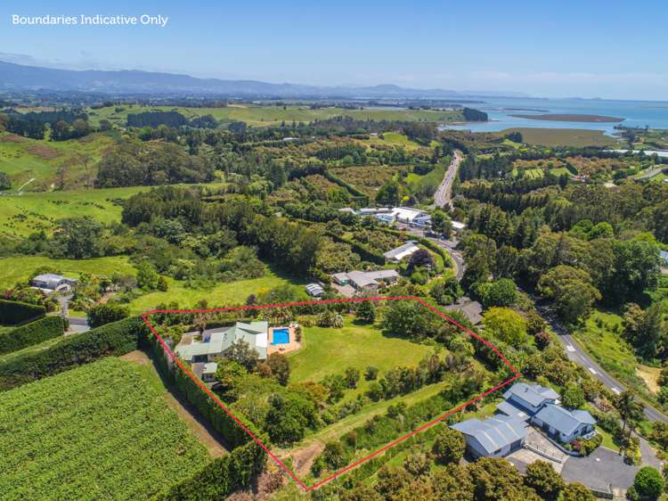 57 Esdaile Road Whakamarama_22