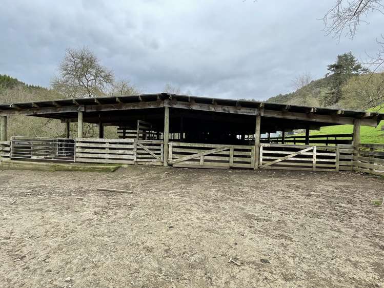 166 Saddler Road Ruapehu_5