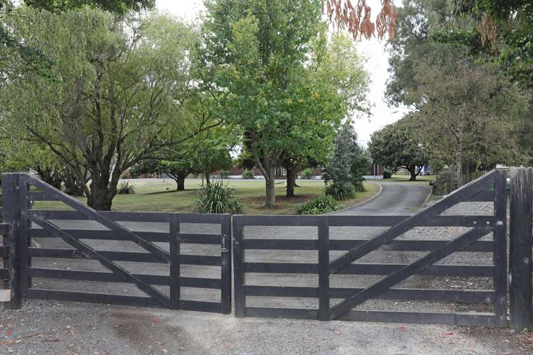 455b State Highway 1 Bulls_31