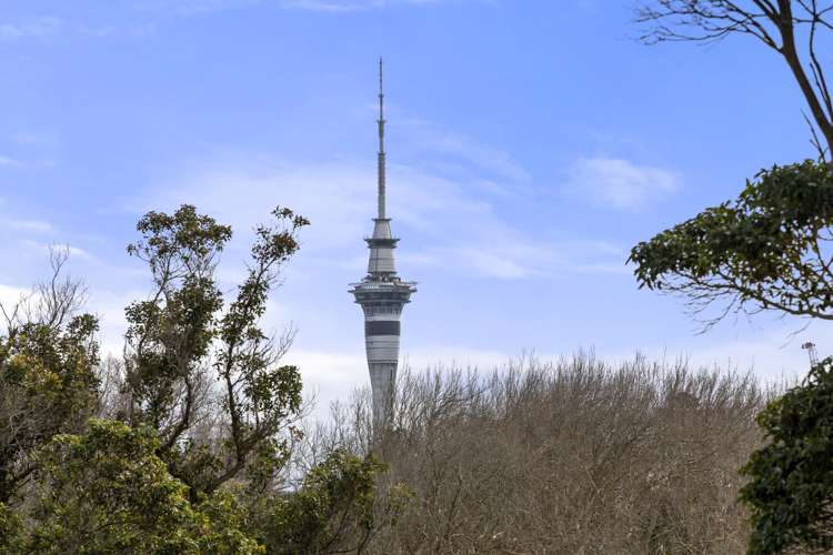 6a/27 George Street Newmarket_12