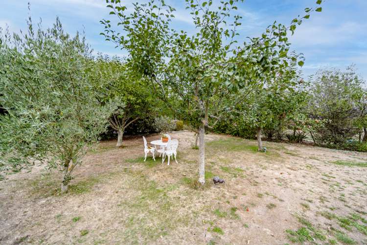 22 Tod Road Otane_16