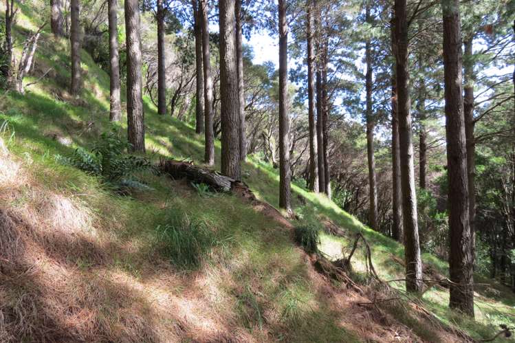 3626a Western Lake Road Ocean Beach_5