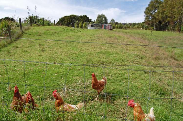 280c Baldrock Road Kaiwaka_18