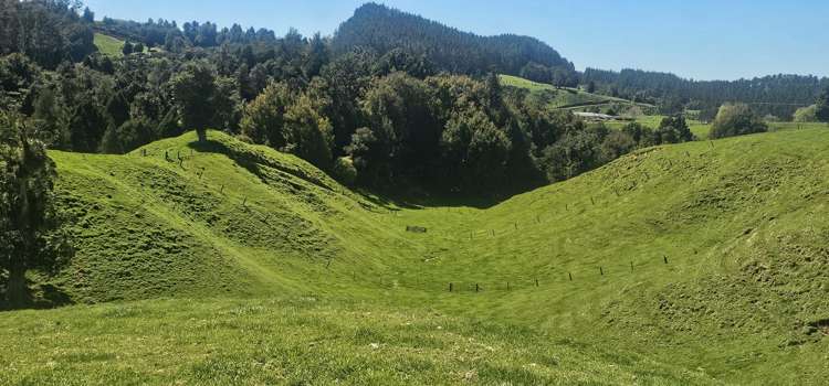 1060D No 3 Road Te Puke_2
