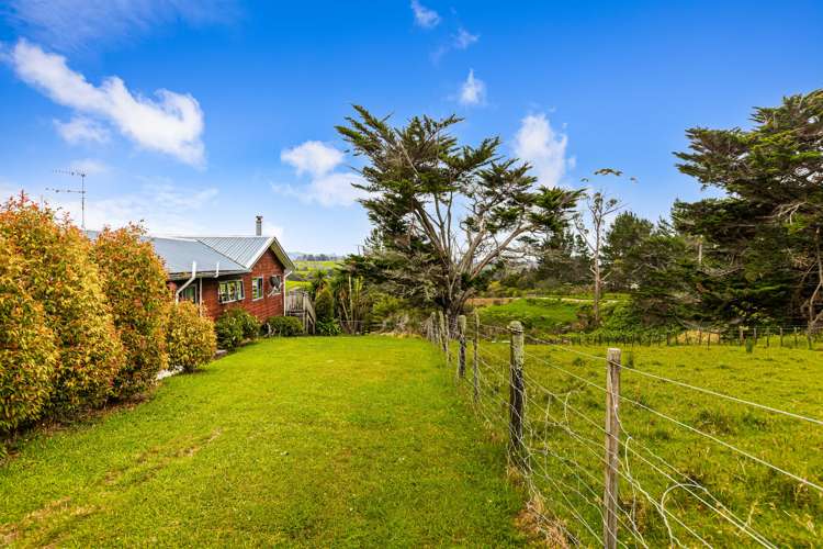 54 Sunnyvale Road Massey_32