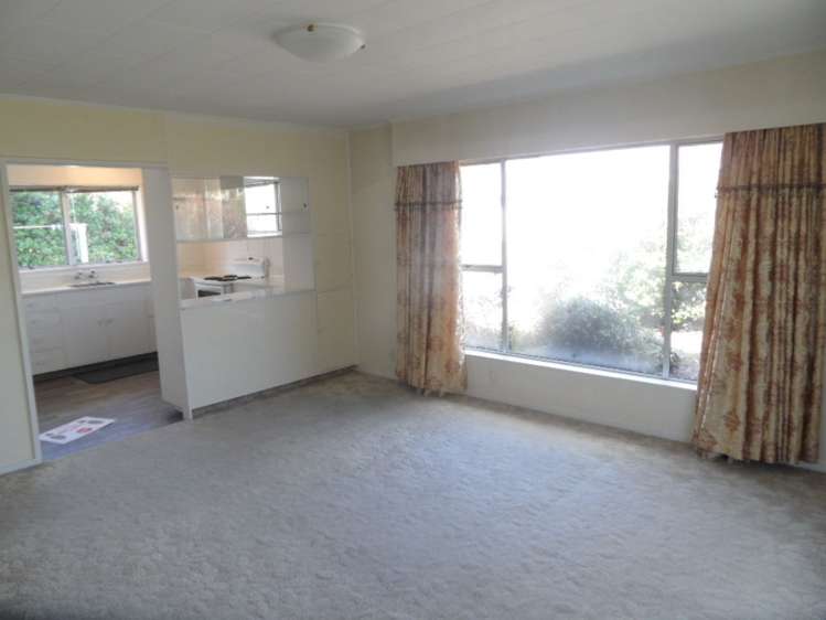 1/23 Wainui Street The Wood_5