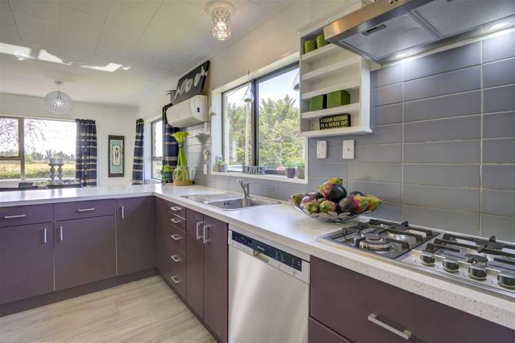 37 Marshmans Road Ashley_3