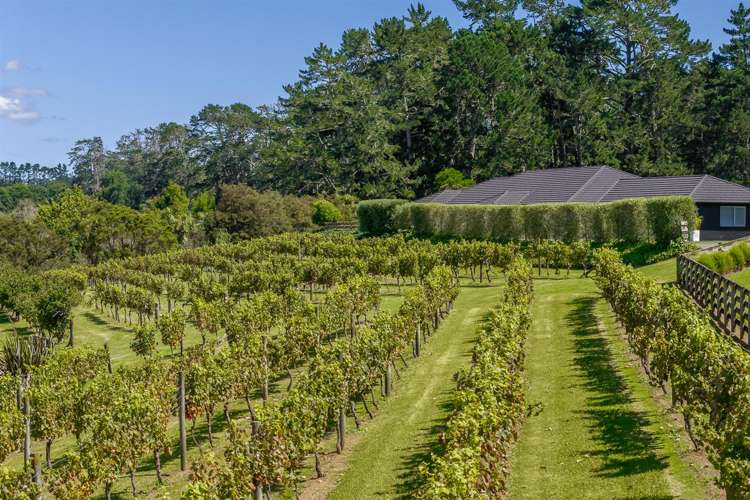 583 State Highway 16 Kumeu_32