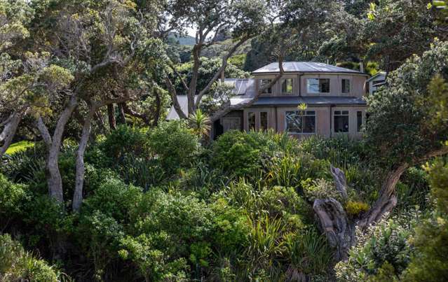 458 Shoal Bay Road Great Barrier Island (Aotea Island)_4