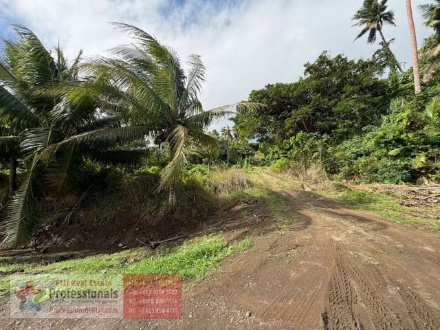 Address withheld Savusavu_1