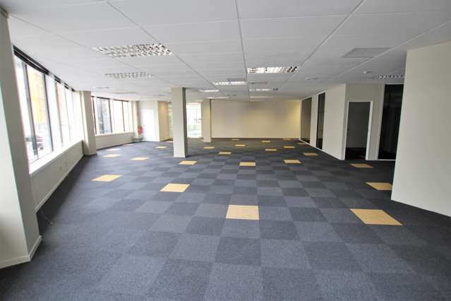 22 Dundonald Street Eden Terrace_3