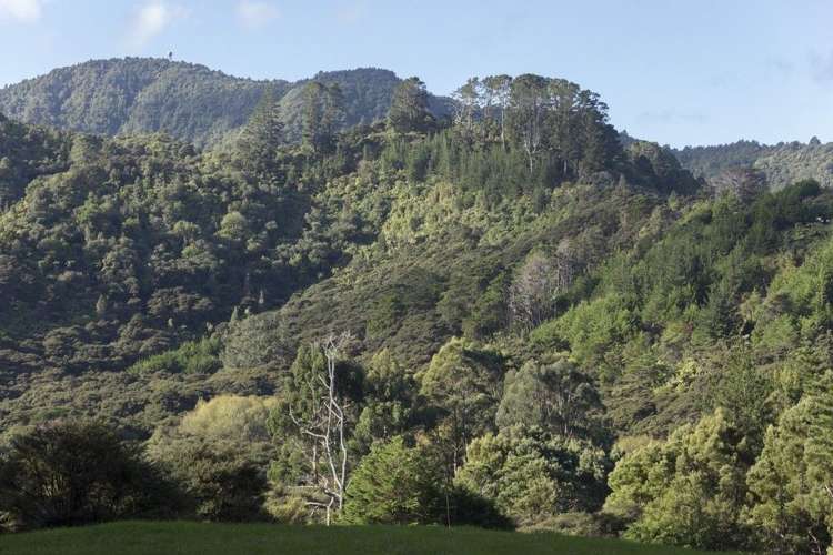 584 Matakana Valley Road Matakana_17