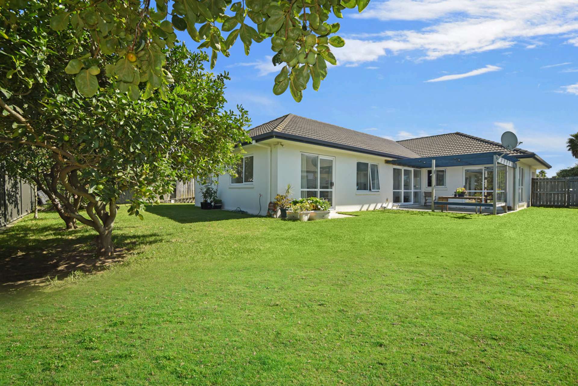 39 Francevic Avenue Mount Maunganui_0