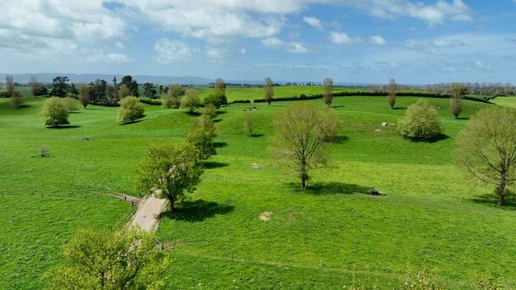 18 Pond Road Matamata_17