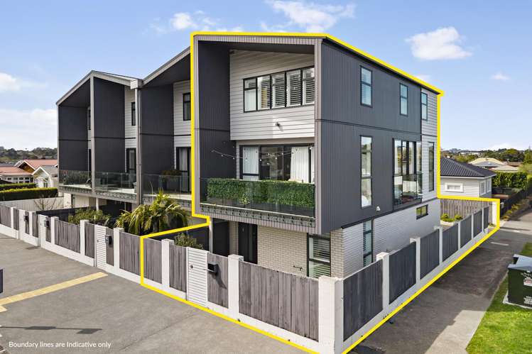 262c Meola Road Point Chevalier_2