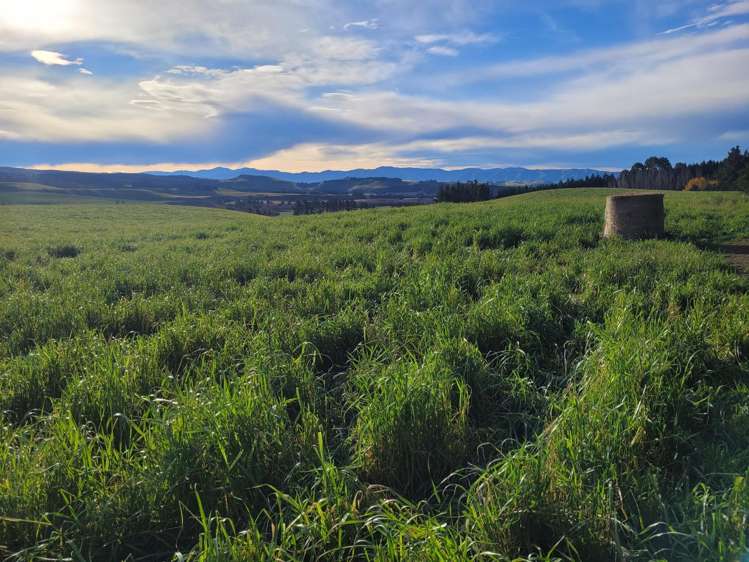 2 Danseys Pass Road Livingstone_8