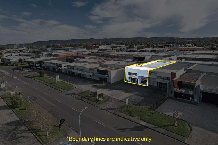 A/7 Waipareira Ave_0