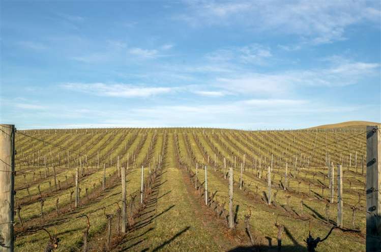 5468 State Highway 1 Seddon_23