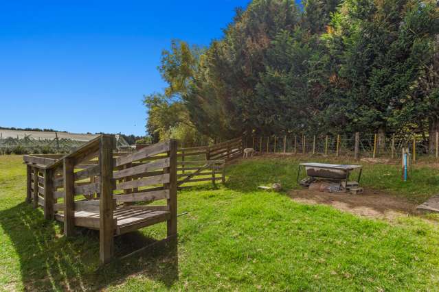 499a White Pine Bush Road Whakatane_4