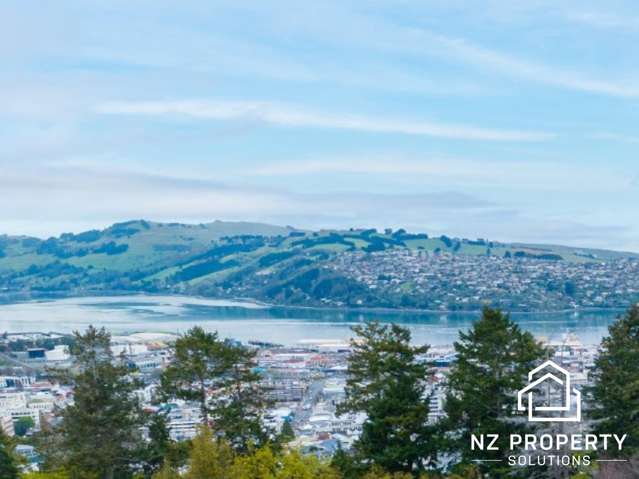 73A Sligo Terrace Roslyn_4