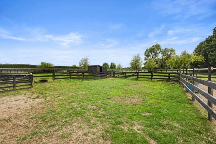 598 Marychurch Road Matangi_32