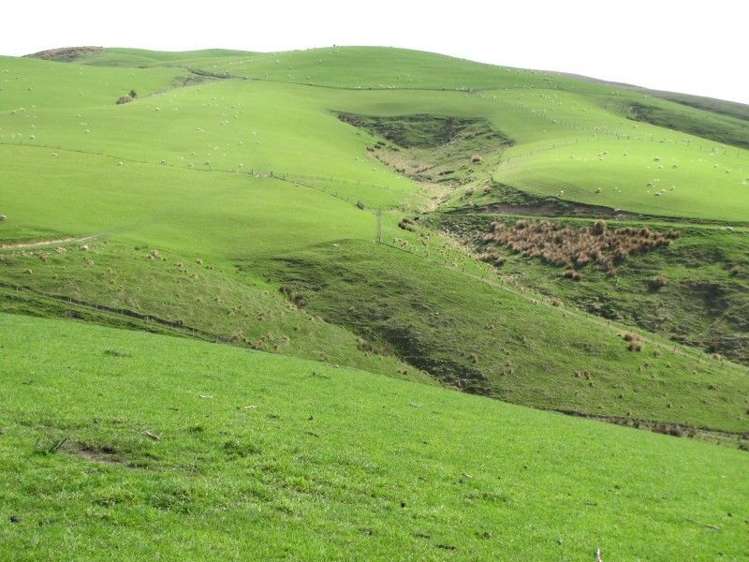 236 Kee Road Gore Surrounds_22