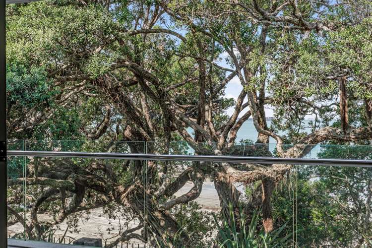 1D/7 The Promenade Takapuna_16