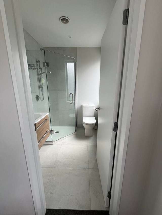 94 Strickland Street Sydenham_3