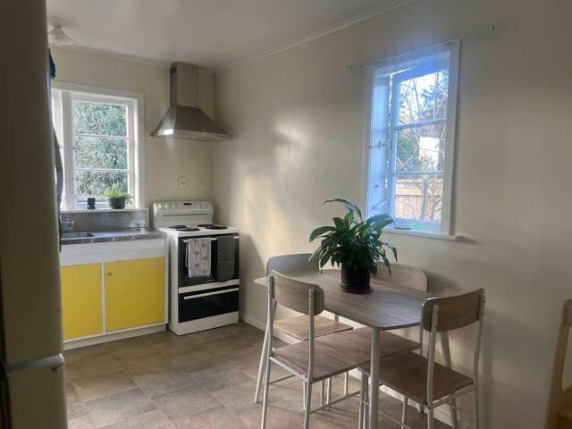 11B Ainslie Rd Paeroa_2