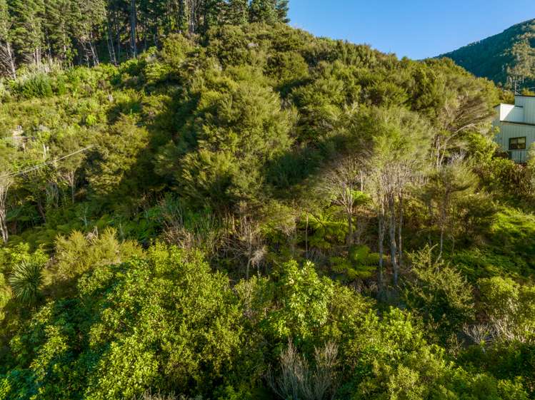 12 Brough Place Anakiwa and Surrounds_9