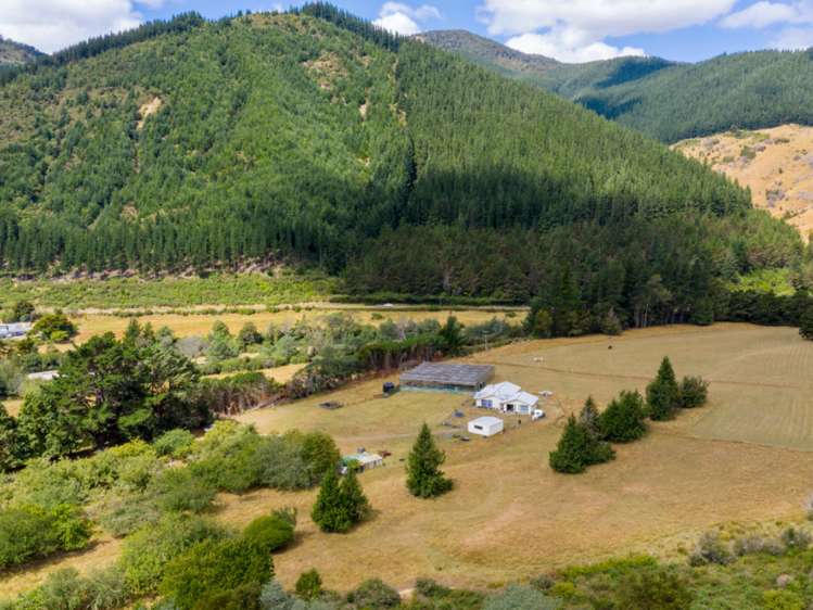 285 Tapps Road Havelock_26