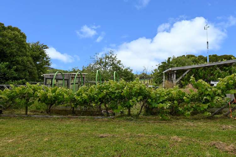 867 Kahikatea Flat Road Waitoki_28