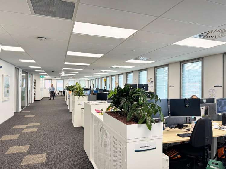 155 The Terrace Wellington Central_17