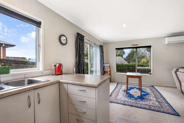 17a Prospect Terrace Pukekohe_4