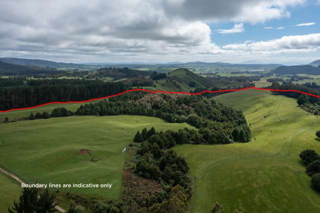 2603 State Highway 41 Kuratau_1