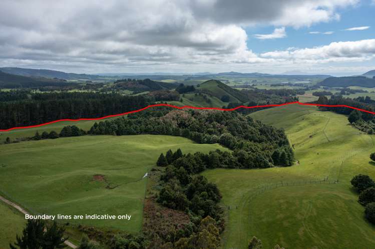 2603 State Highway 41 Kuratau_1