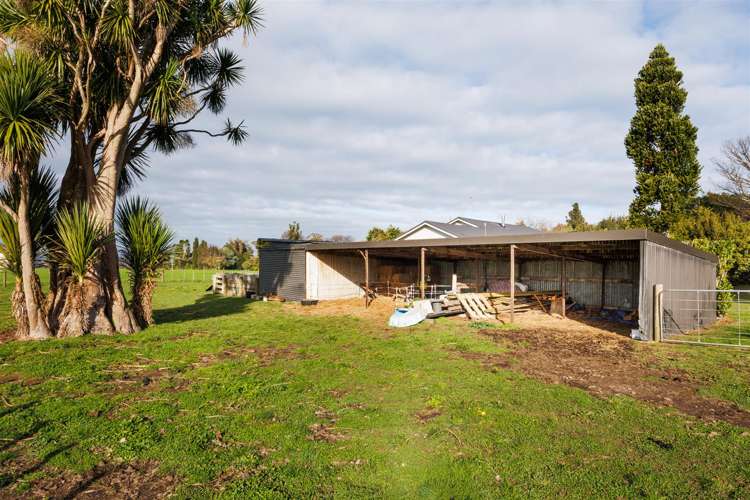 787 Fern Flats Road Marton_23