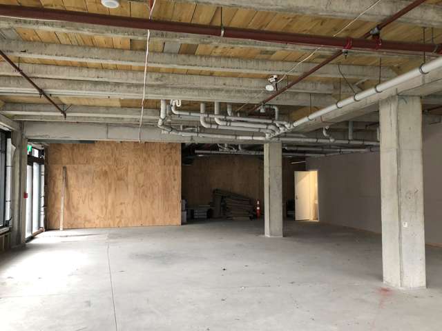 73 Jackson Street Petone_3