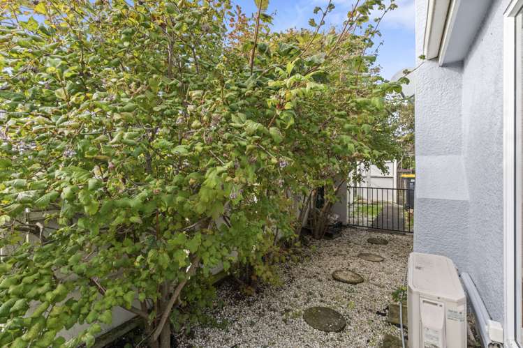 B/177 Bay View Road South Dunedin_24