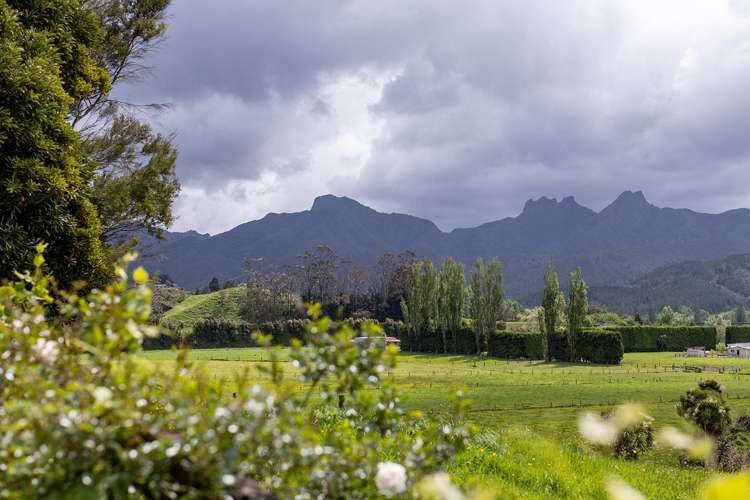 2415 Tairua Road SH 25 Hikuai_27