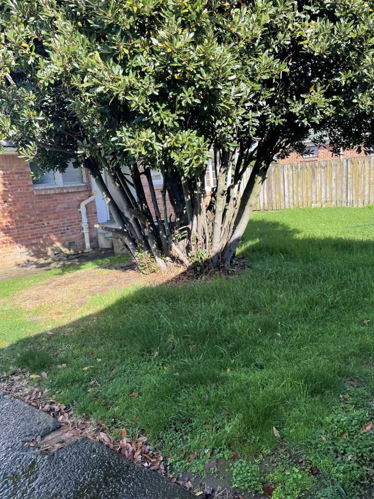 75 Browns Road Manurewa_11