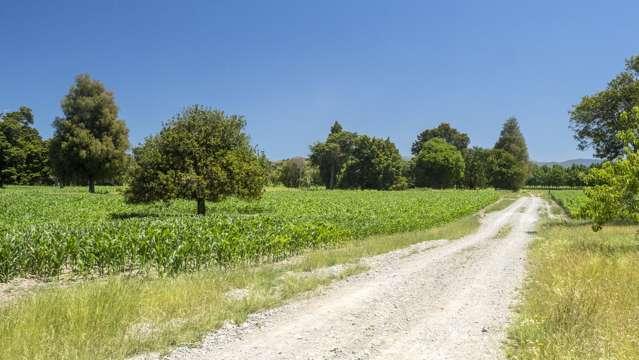 429 Riverside Road Martinborough_3