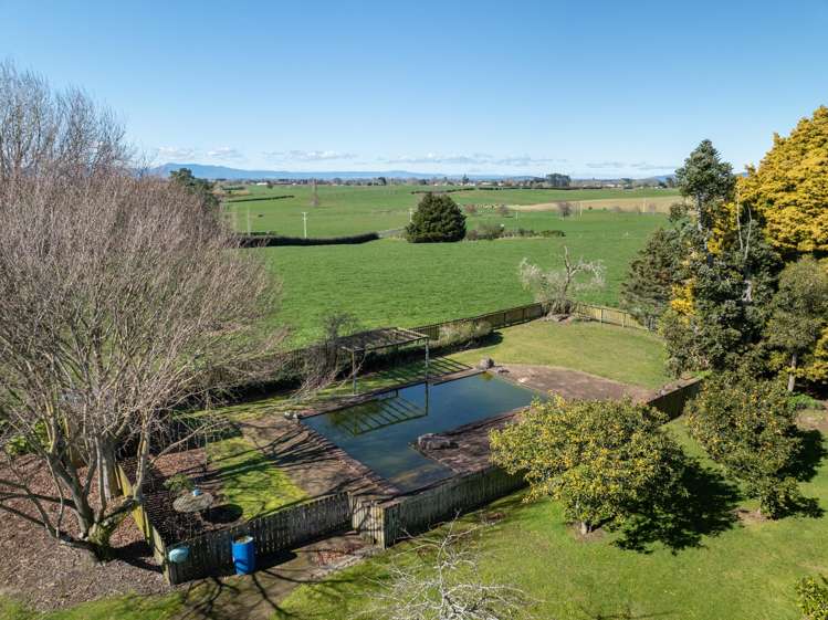 97 Herbert Road Morrinsville_12