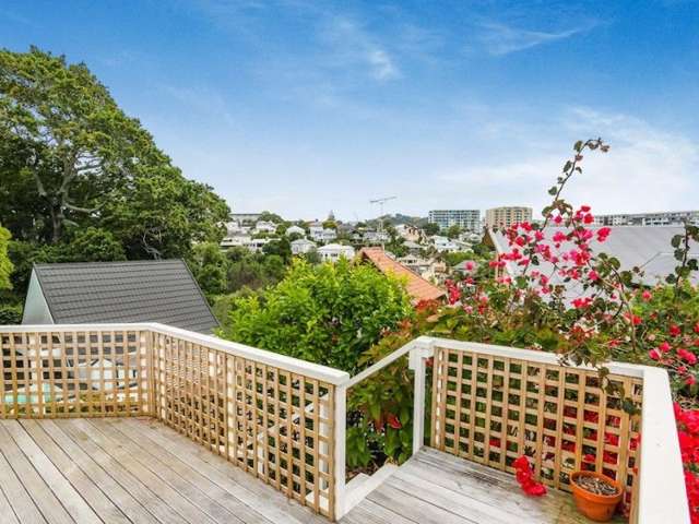 86 Bassett Road Remuera_4